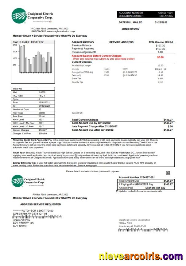 Realistic USA Craighead Electric Utility Bill Template In Word And PDF Format