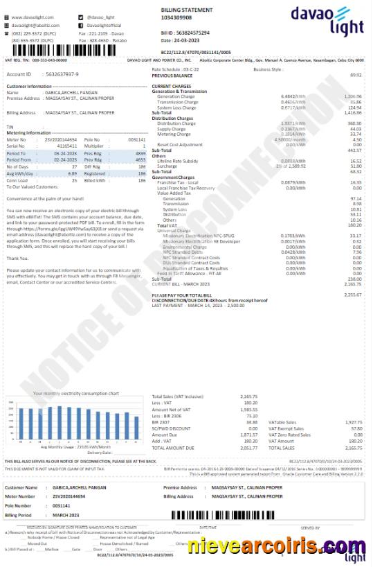 Premium USA DAVAO LIGHT Utility Bill Word And PDF Template