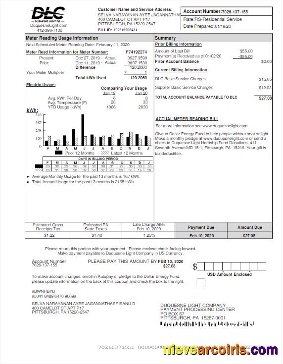 Professional USA DLC Utility Bill Word And PDF Template