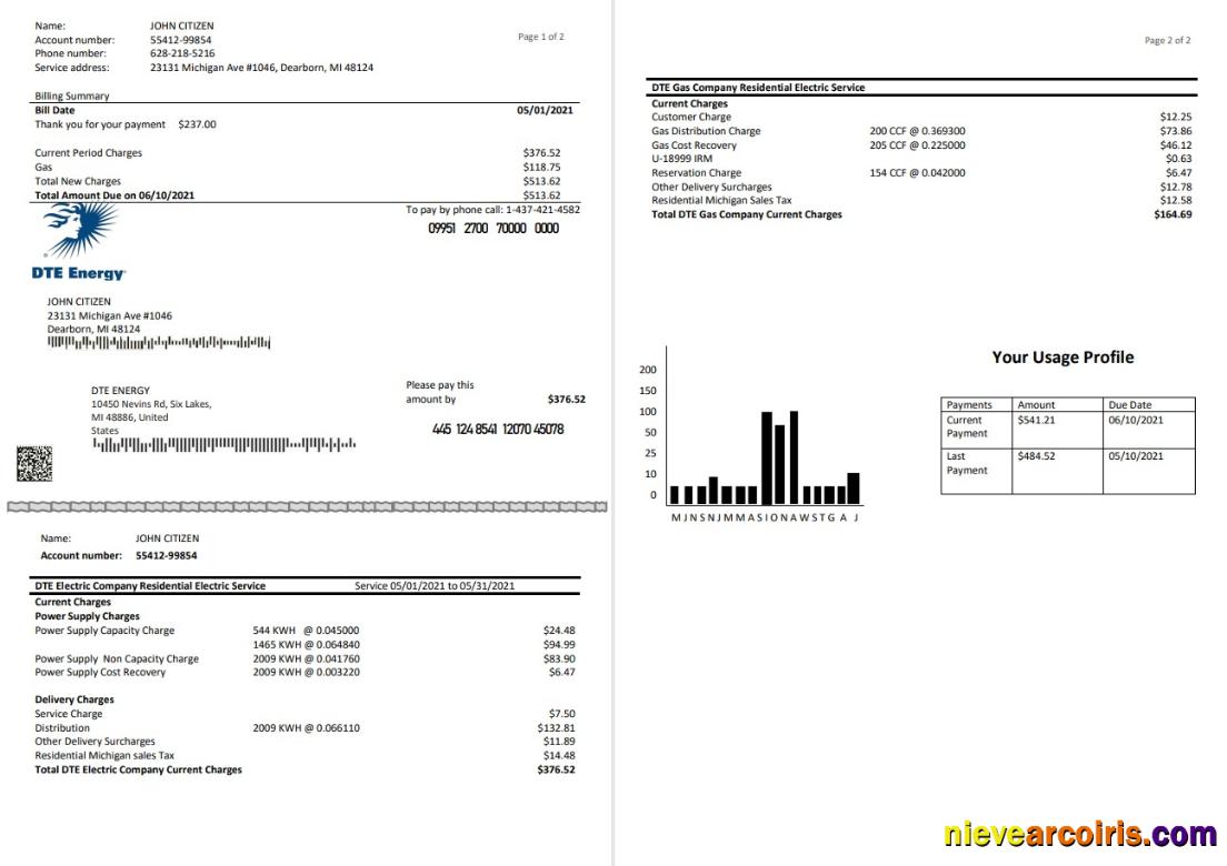 Realistic USA DTE Energy Utility Bill Template In Word And PDF Format (2 Pages)