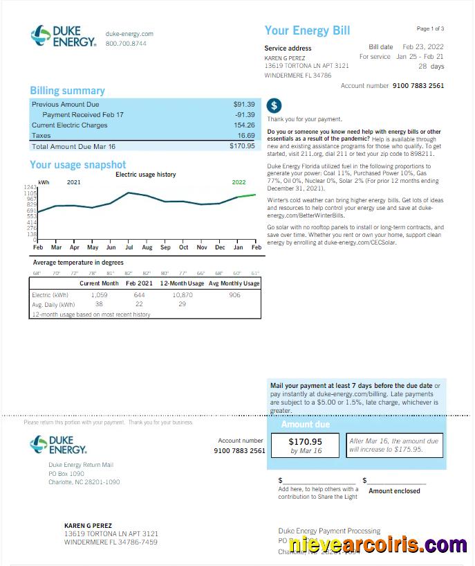 Premium USA DUKE ENERGY Utility Bill Word And PDF Template, Version 2