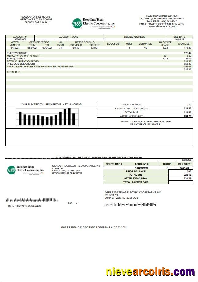 Premium USA Deep East Texas Electric Utility Bill Template In Word And PDF Format