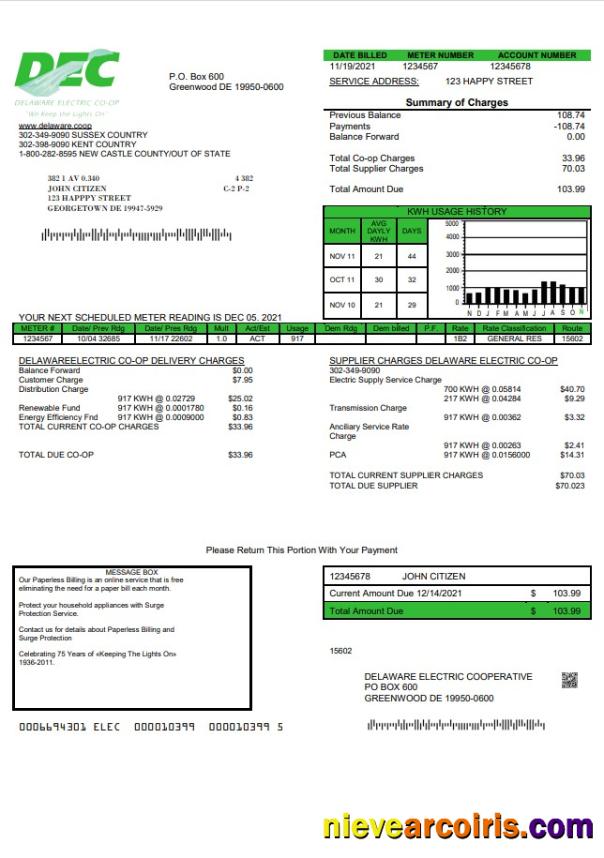 Premium USA Delaware Electric Co Op Utility Bill Template In Word And PDF Format