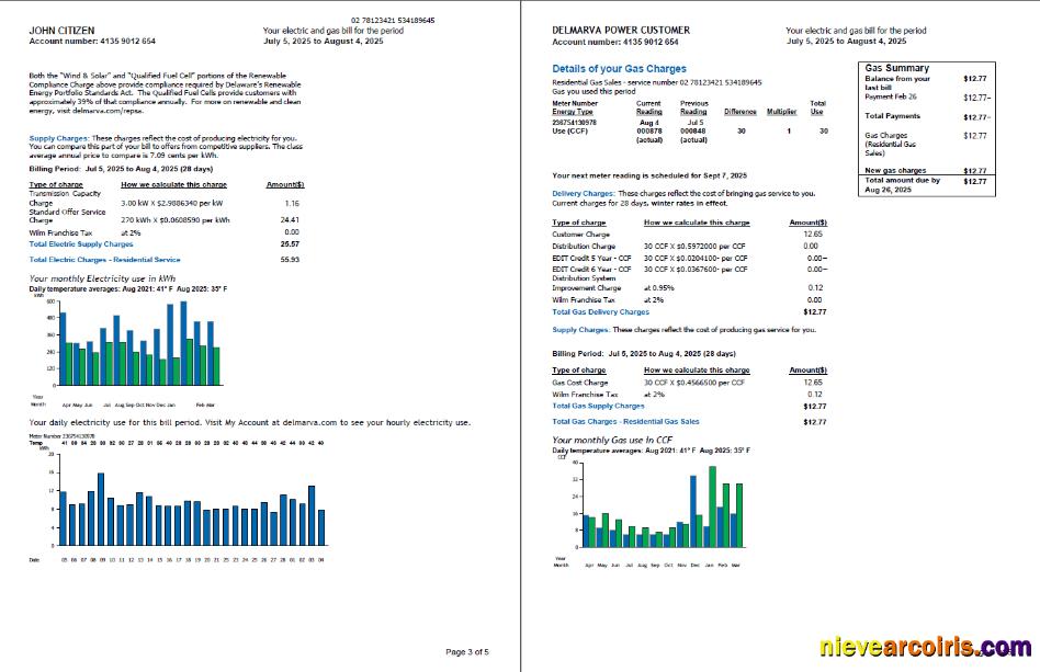 Premium USA Delmarva Power Utility Bill Template In Word And PDF Formats, 5 Pages, 3 4 Pages