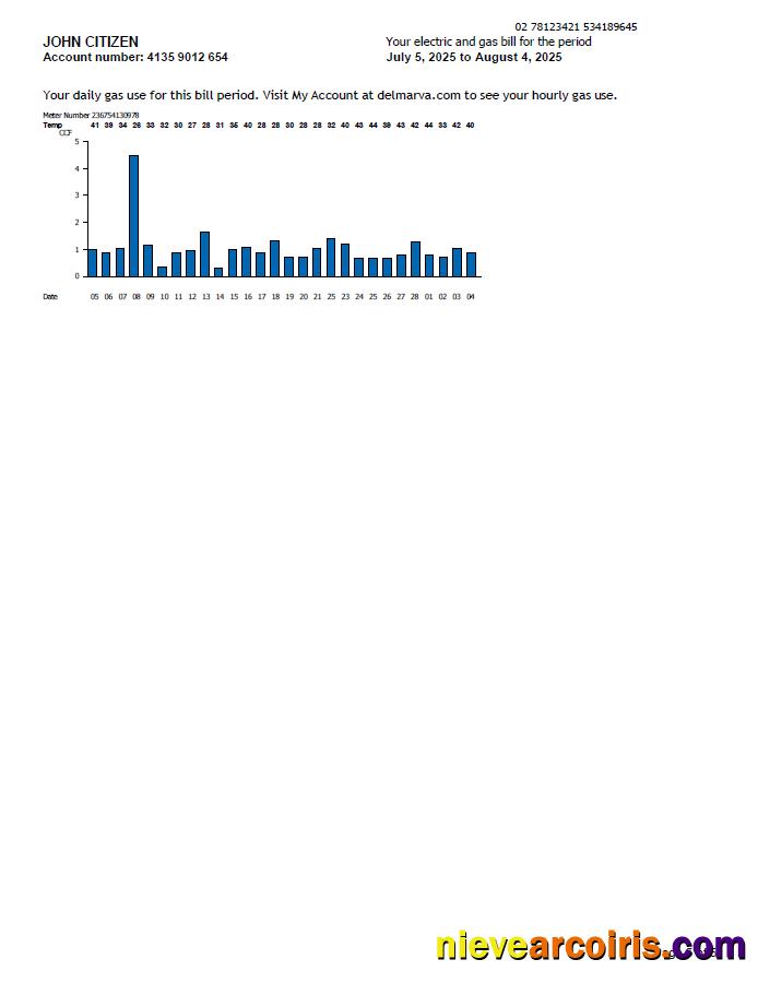 Premium USA Delmarva Power Utility Bill Template In Word And PDF Formats, 5 Pages, 5th Page