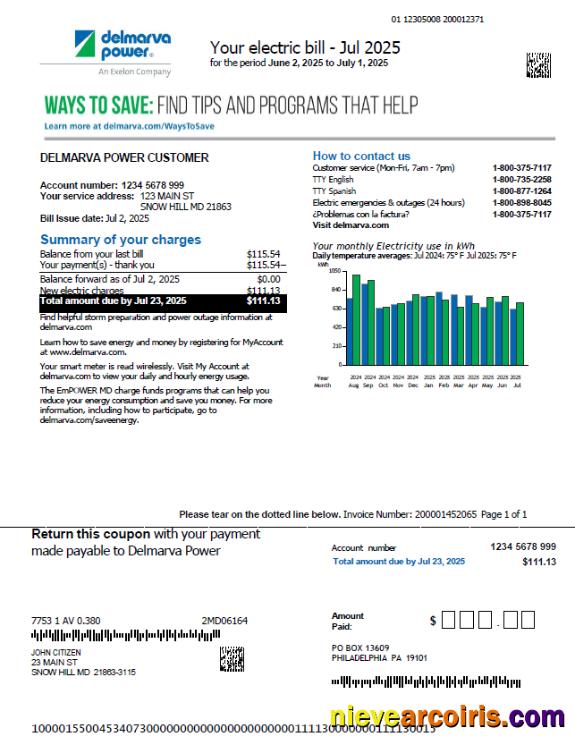 Professional USA Delmarva Power Utility Bill Template In Word And PDF Formats, Version 3