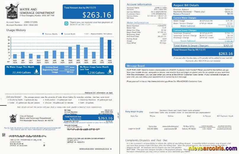 Premium USA Detroit Water And Sewerage Department Utility Bill Template In Word And PDF Formats, 2 Pages, Version 5
