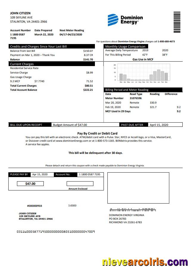 Premium USA Dominion Energy Utility Bill Template In Word And PDF Format