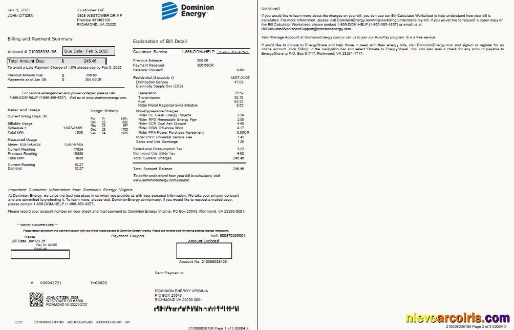 Premium USA Dominion Energy Utility Bill Template In Word And PDF Formats, 3 Pages, 1 2 Pages