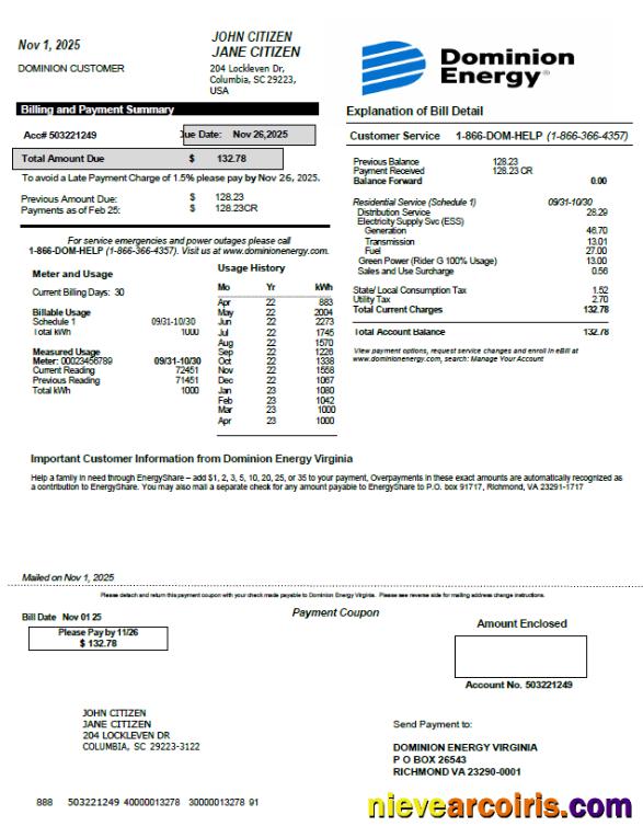 Editable USA Dominion Energy Utility Bill Template In Word And PDF Formats, Version 2