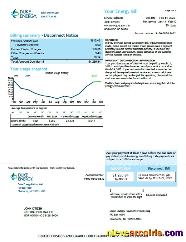 Professional USA Duke Energy Utility Bill Template In Word And PDF Formats, Version 2