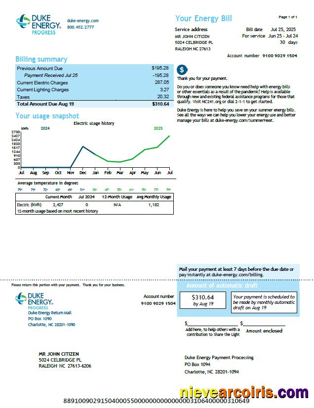 Professional USA Duke Energy Utility Bill Template In Word And PDF Formats, Version 3