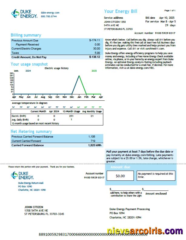 Professional USA Duke Energy Utility Bill Template In Word And PDF Formats, Version 4