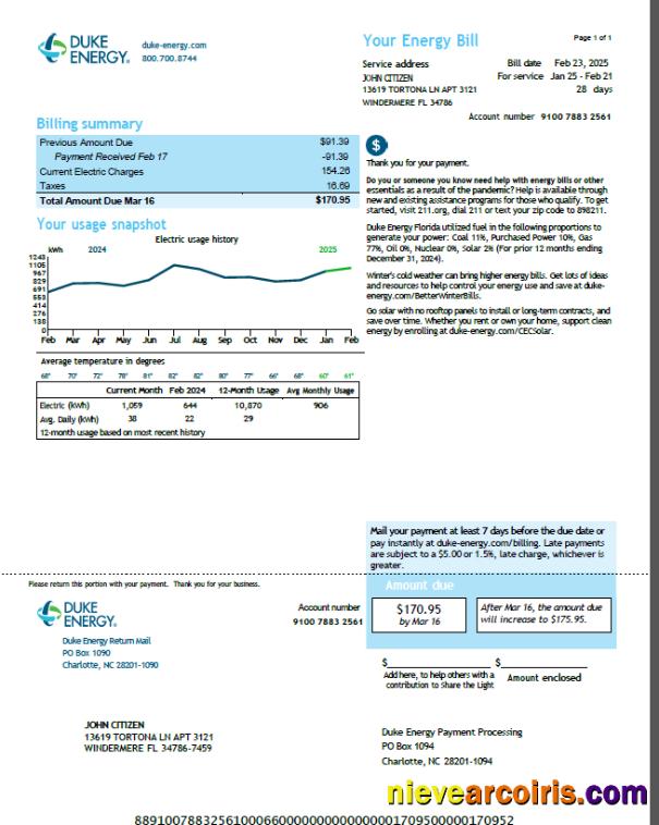 Premium USA Duke Energy Utility Bill Template In Word And PDF Formats, Version 5