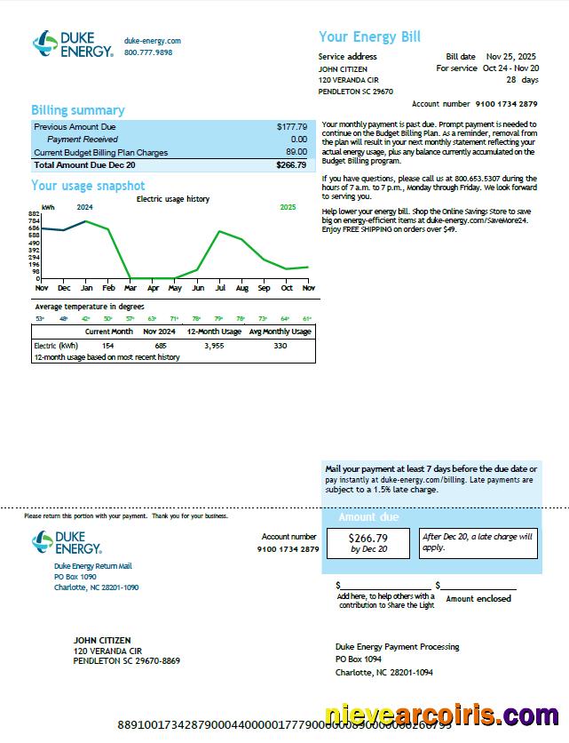 Professional USA Duke Energy Utility Bill Template In Word And PDF Formats, Version 6