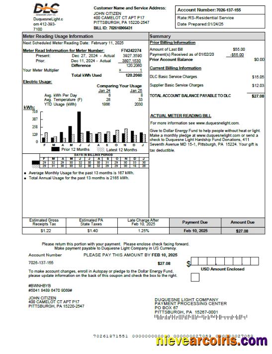 Editable USA Duquesne Light Company Utility Bill Template In Word And PDF Formats