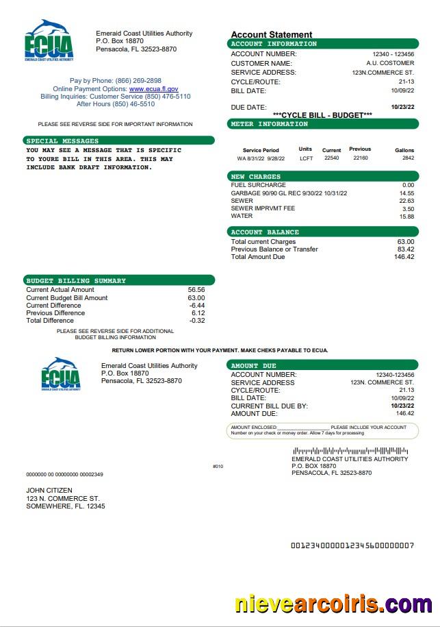 Realistic USA ECUA Utility Bill Template In Word And PDF Format