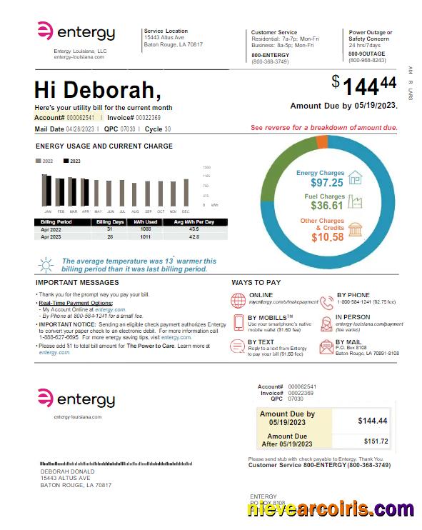 Realistic USA ENTERGY Utility Bill Word And PDF Template
