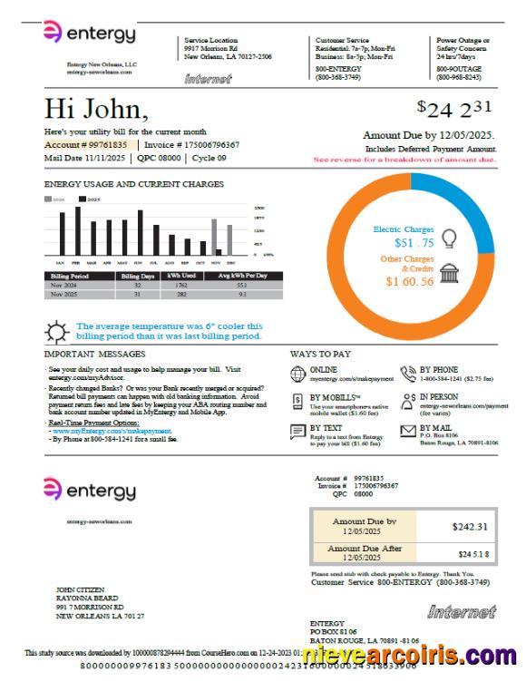 Editable USA Entergy Utility Bill Template In Word And PDF Formats, Version 2