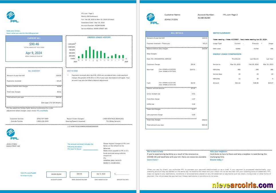 USA FPL Electricity Utility Bil Word And PDF Formats, 2 Pages, Version 2 Sample