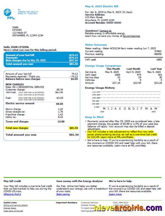 Editable USA FPL Utility Bill Template In Word And PDF Formats, Version 2