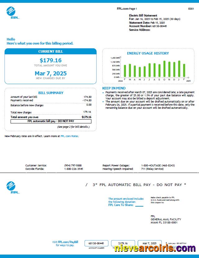 Realistic USA FPL Utility Bill Template In Word And PDF Formats, Version 6