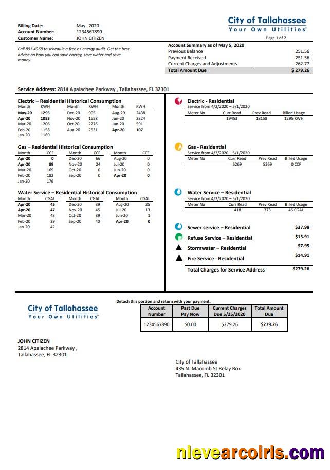 Premium USA Florida City Of Tallahassee Florida Your Own Utilities Bill Template In Word And PDF Format