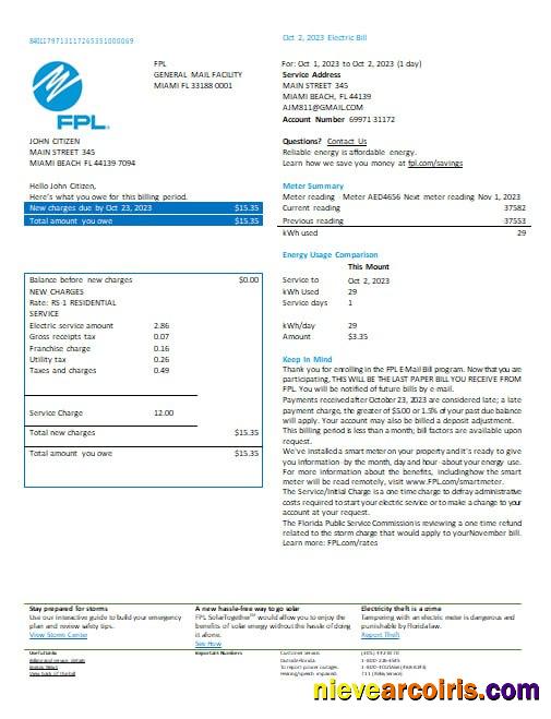 USA Florida FPL Electricity Utility Bill Word And PDF Formats, Version 2 Template