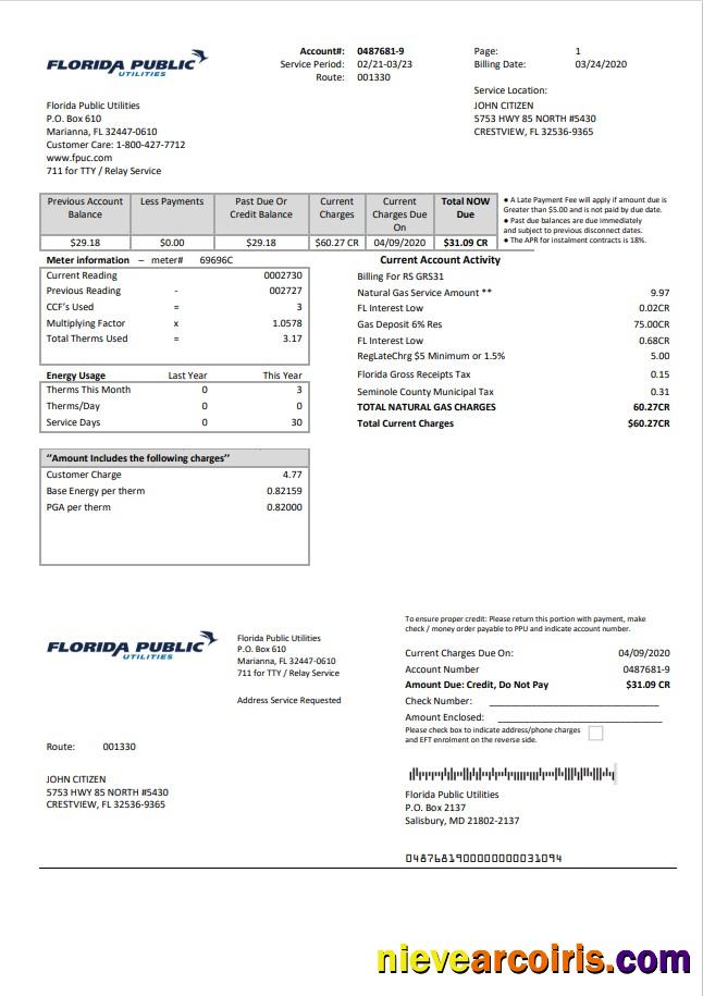 Editable USA Florida Public Utilities Utility Bill Template In Word And PDF Format