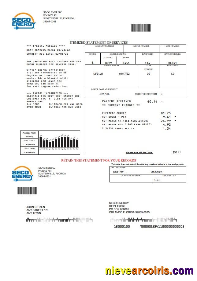Premium USA Florida Seco Energy Utility Bill Template In Word And PDF Format