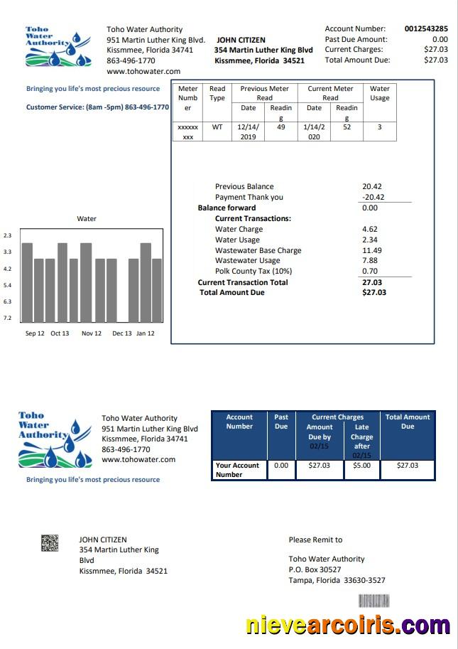 Realistic USA Florida Toho Water Authority Utility Bill Template In Word And PDF Format
