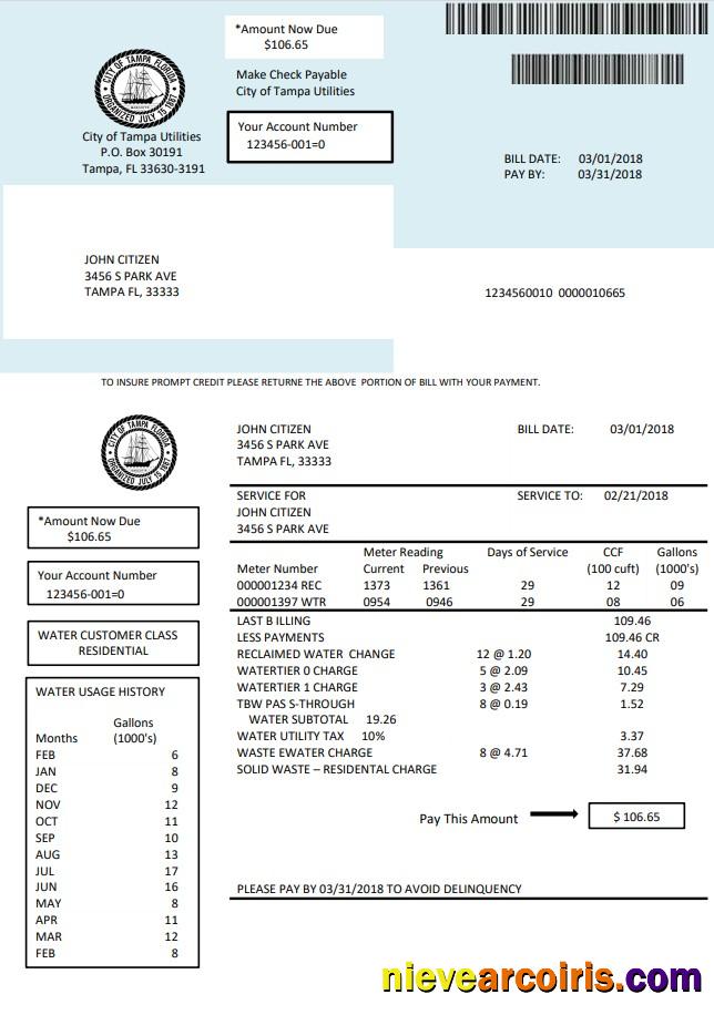Realistic USA Florida Water Utility Bill Template In Word And PDF Format