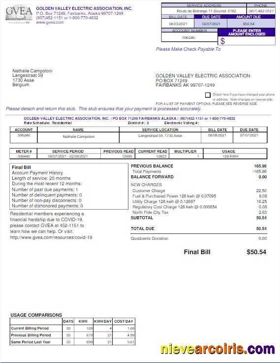 Realistic USA GVEA Utility Bill Word And PDF Template