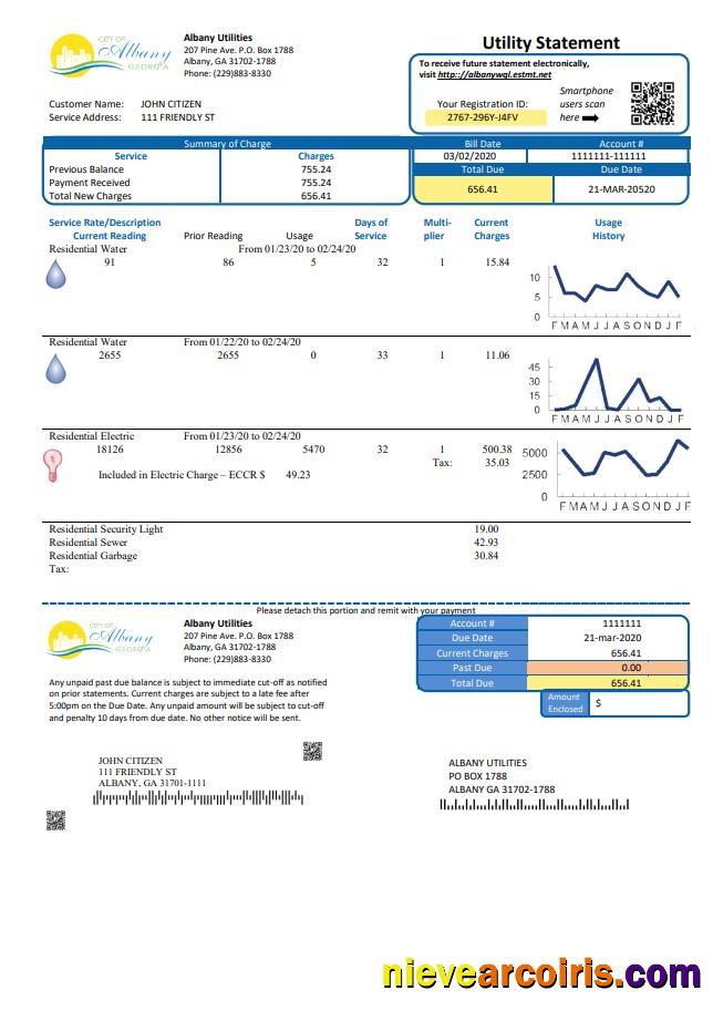 Professional USA Georgia City Of Albany Water And Electricity Utility Bill Template In Word And PDF Format
