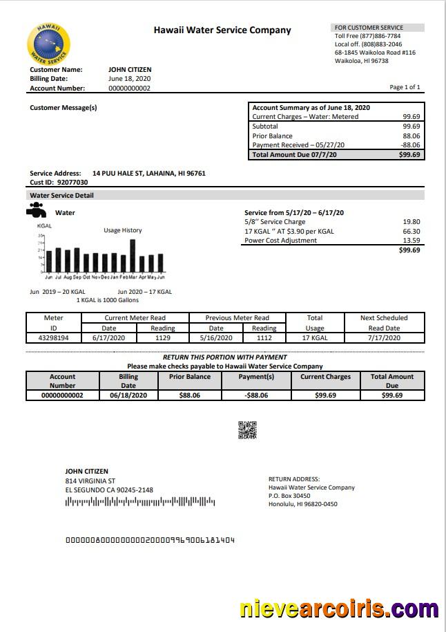 Realistic USA Hawaii Water Service Company Utility Bill Template In Word And PDF (.doc And .pdf) Format