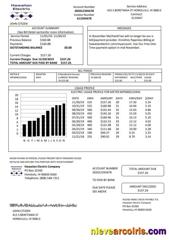 Professional USA Hawaiian Electric Utility Bill Template In Word And PDF Format (.doc And .pdf)