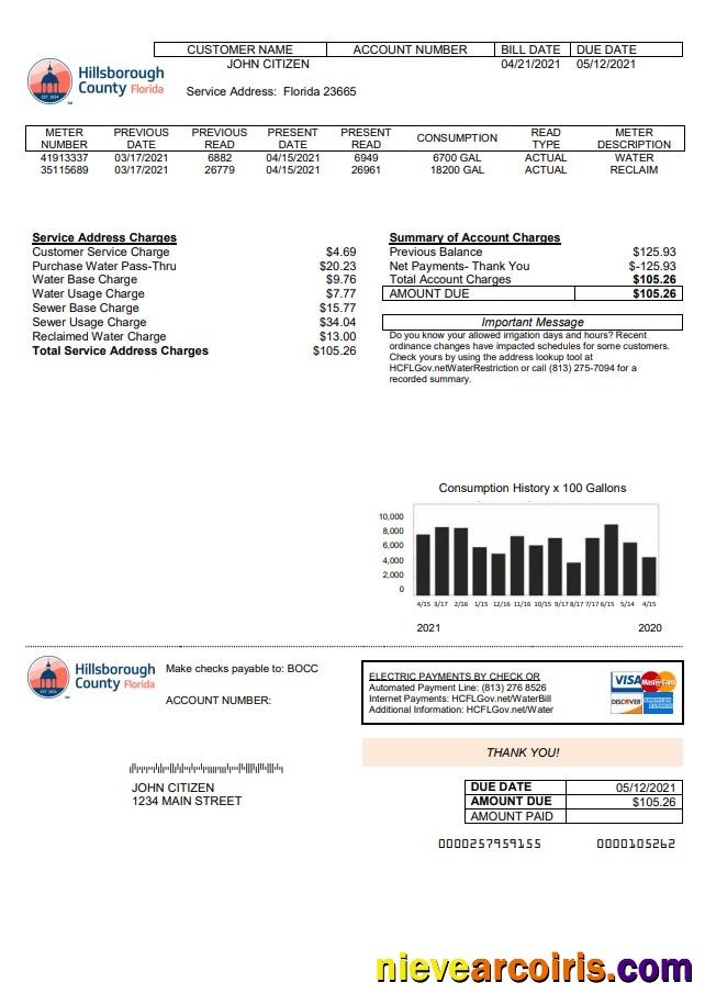 Professional USA Hillsborough County Utility Bill Template In Word And PDF Format