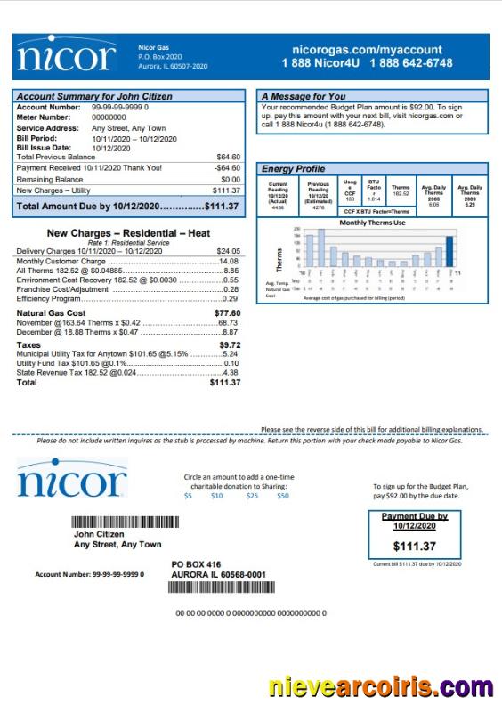 Premium USA Illinois Nicor Gas Utility Bill Template In Word And PDF Format