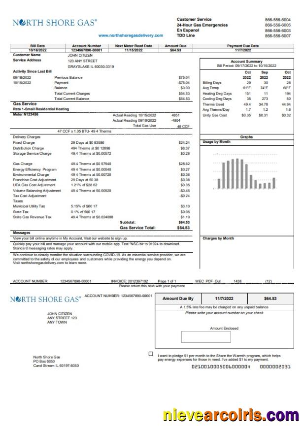 Professional USA Illinois North Shore Gas Utility Bill Template In Word And PDF Format