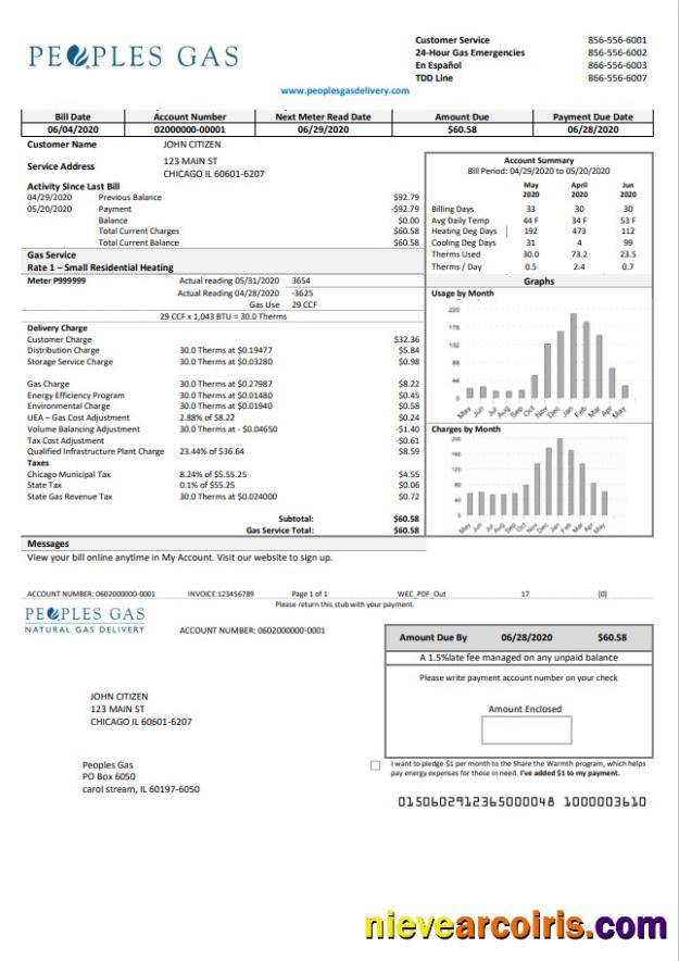 Professional USA Illinois Peoples Gas Utility Bill Template In Word And PDF Format