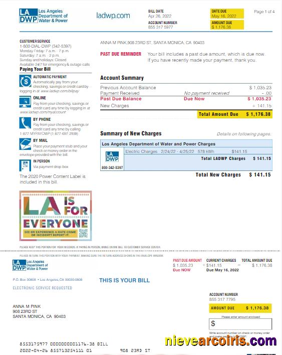 Premium USA LA DWP Utility Bill Word And PDF Template