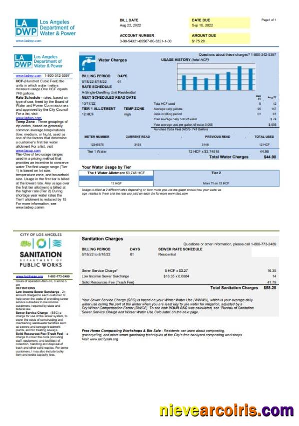 Realistic USA LA DWP Utility Bill Template In Word And PDF Format