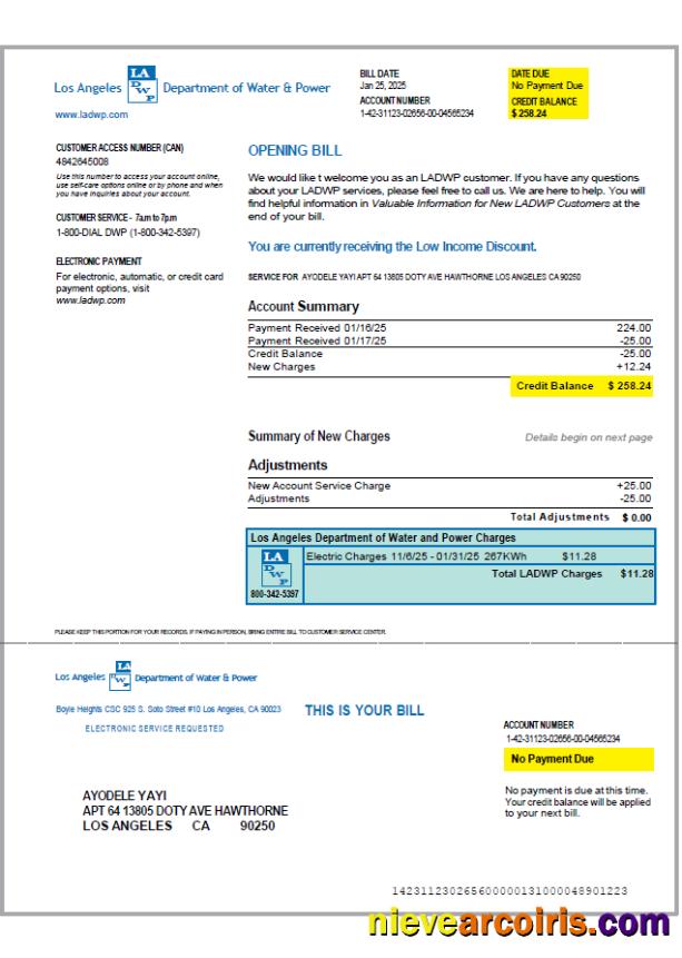 Editable USA LA DWP Utility Bill Template In Word And PDF Formats, Version 2