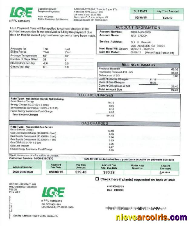 Realistic USA LG&E Utility Bill Word And PDF Template