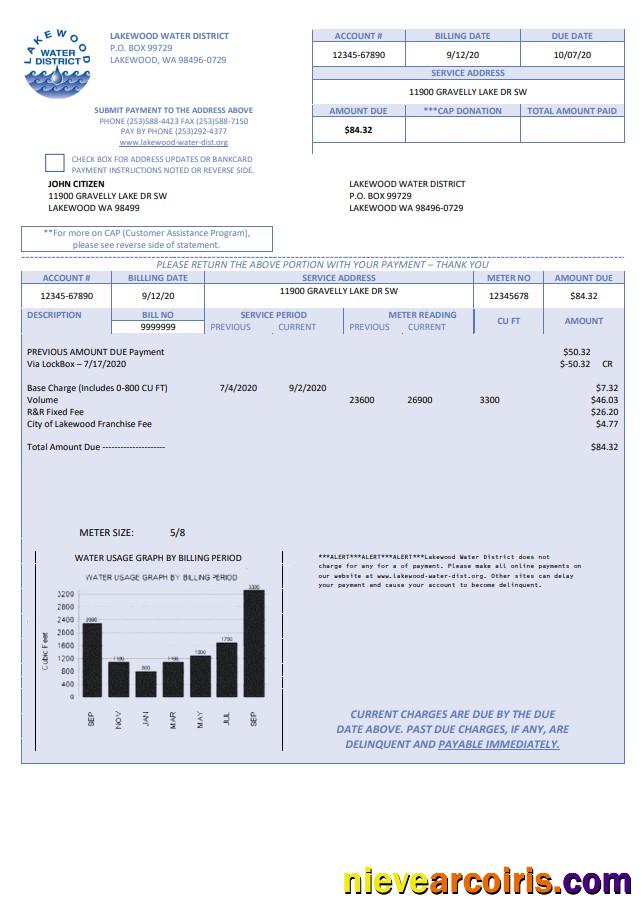 Professional USA Lakewood Water District Utility Bill Template In Word And PDF Format