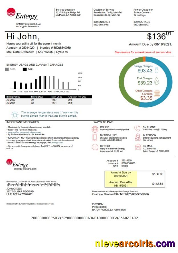 Realistic USA Louisiana Entergy Utility Bill Template In Word And PDF Format, Version 2