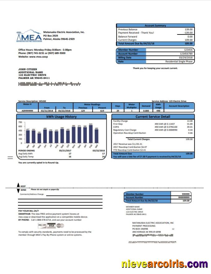 Premium USA MEA Alaska Electricity Utility Bill Template In Word And PDF Format