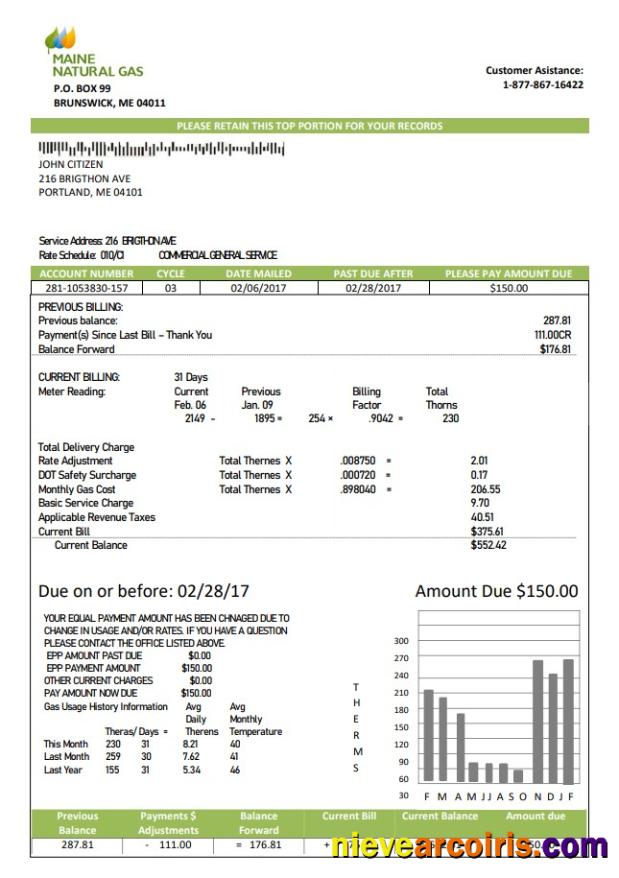 Premium USA Maine Natural Gas Portland Utility Bill Template In Word And PDF Format