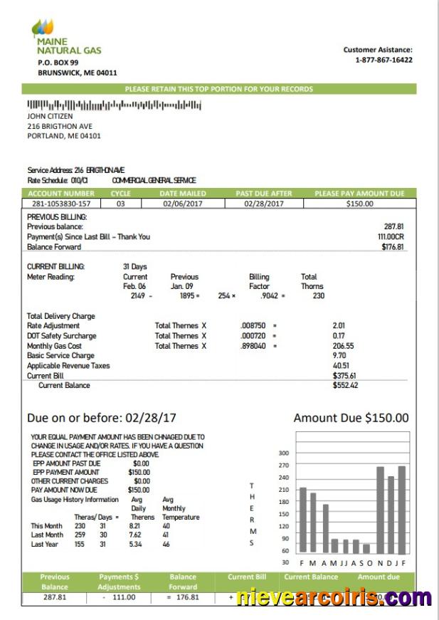 Professional USA Marine Maine Natural Gas Portland Utility Bill Template In Word Format