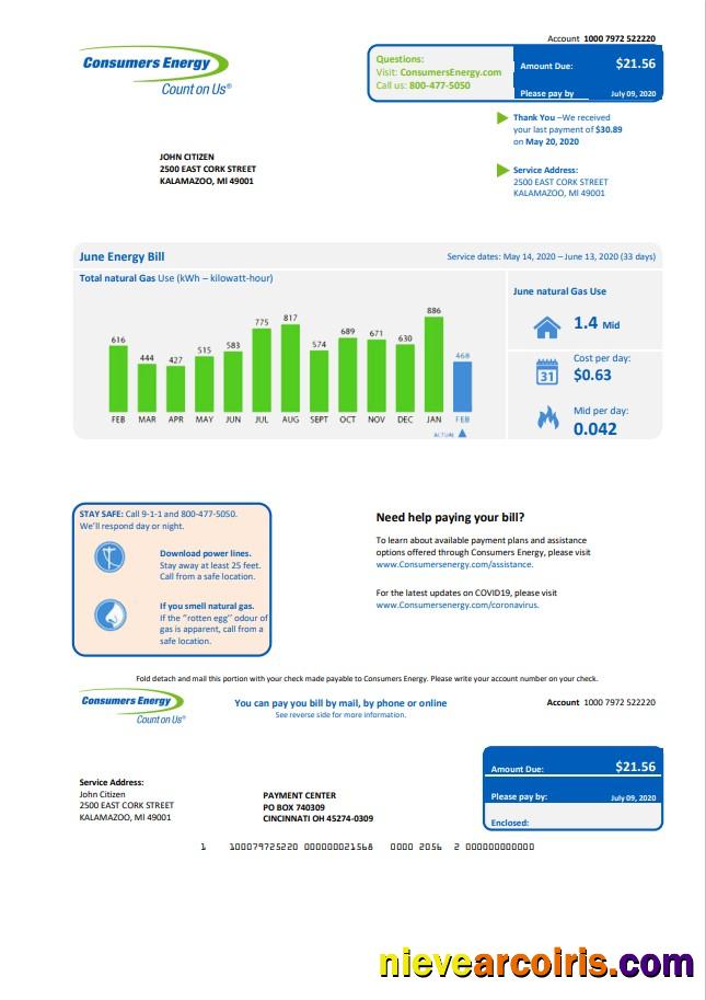 Editable USA Michigan Consumers Energy Utility Bill Template In Word And PDF Format